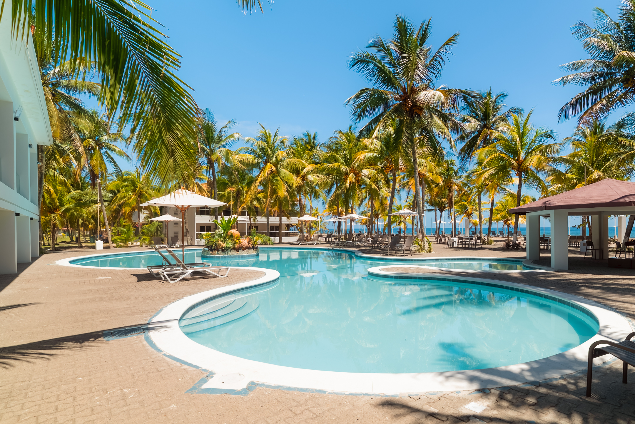 Piscina del club rodeada de palmeras con vista hacia el mar